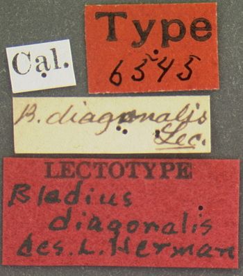 Media type: image;   Entomology 6545 Aspect: labels